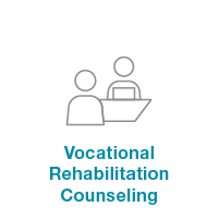 Vocational Rehabilitation Counseling
